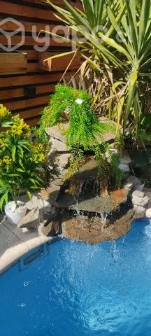 Pileta