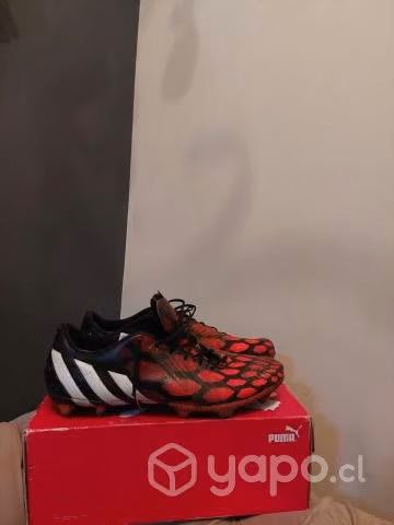 Adidas predator Instinct