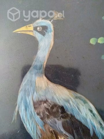 Cuadrito antiguo con plumas naturales - Imagen 2
