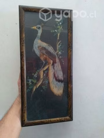 Cuadrito antiguo con plumas naturales - Imagen 5