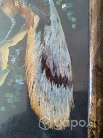 Cuadrito antiguo con plumas naturales - Imagen 3