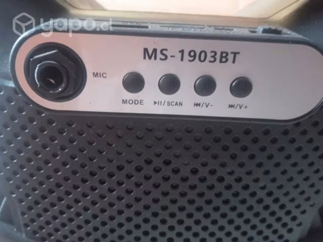 Parlante Bluetooth/karaoke