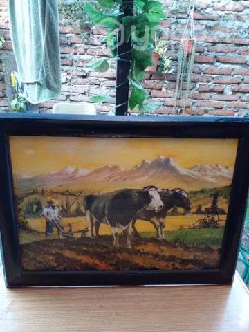 Cuadros en buen estado