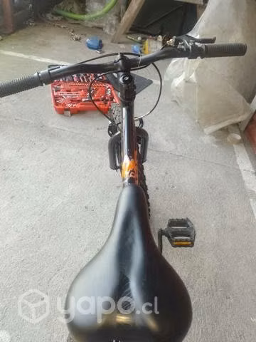 Bicicleta niño aro 20 - Imagen 2