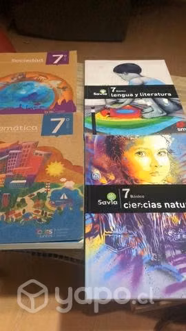 Libro 7 basico