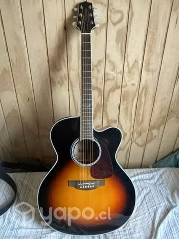 Guitarra Takamine Serie G