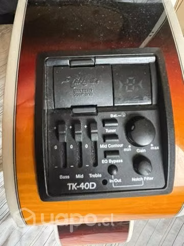 Guitarra Takamine Serie G