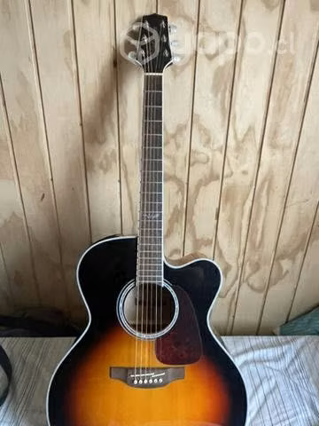 Guitarra Takamine Serie G
