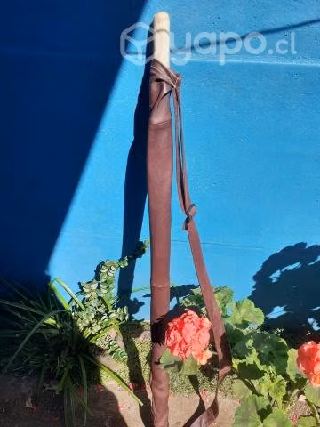 Espada de Bambú, Shinai Kendo