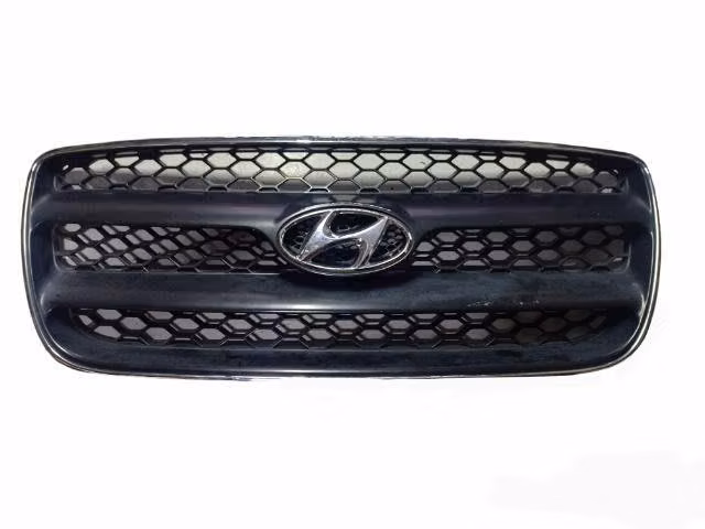 Máscara Hyundai Santa Fe 2006-2010