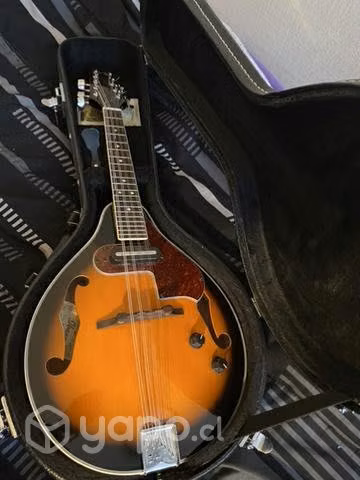 Mandolina Ibanez Electroacústica M510Bs c/ estuche
