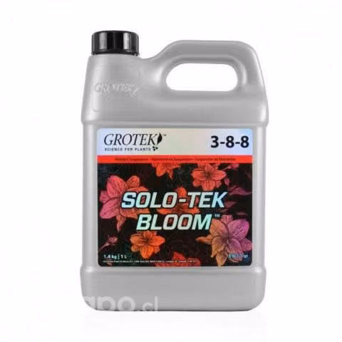 Solo tek bloom