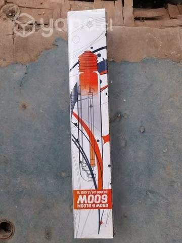 Ampolletas para indoors