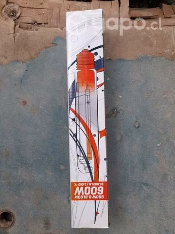 Ampolletas para indoors
