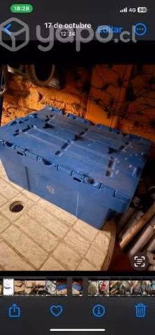 Organizadora - Imagen 2