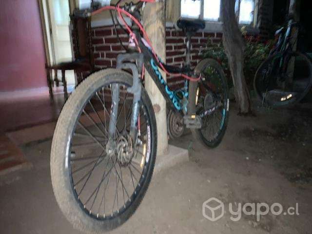Bicicleta Oxford 2017 mujer - Imagen 4