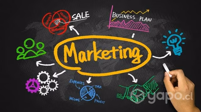 Profesor de marketing y ventas