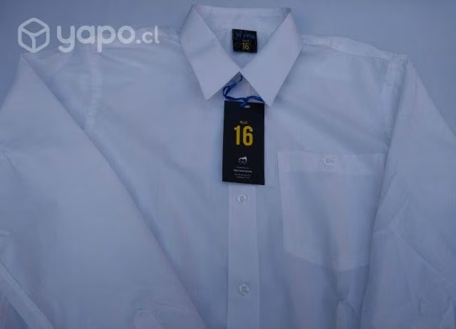 Camisa lisa