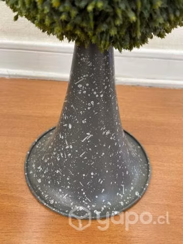 Plantas de decoración - Imagen 2