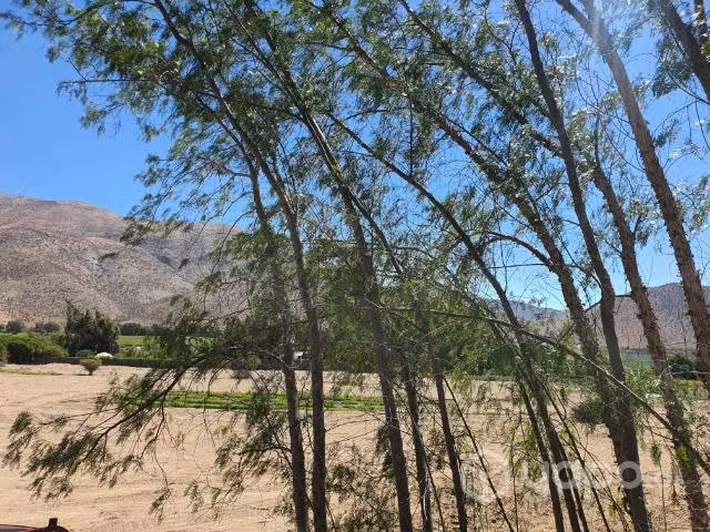 Parcelas valle de Elqui