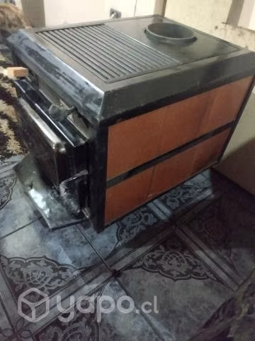Combustión lenta