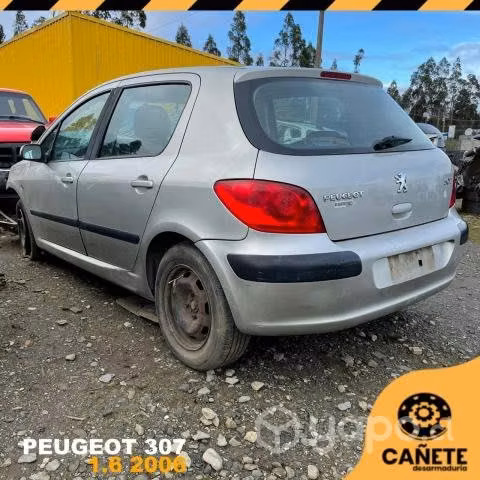Frontal Peugeot 