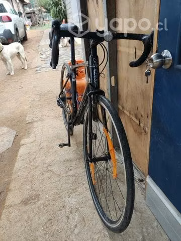 Bicicleta Ruta GIANT Contend 1 + computador