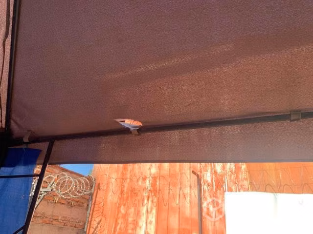 Toldo pergoka 3x3