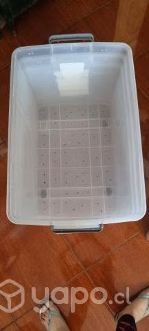 Cajas plásticas