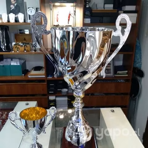 Trofeos y copas vicolor