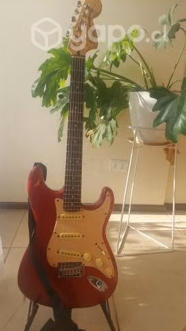 Squier Stratocaster Standard