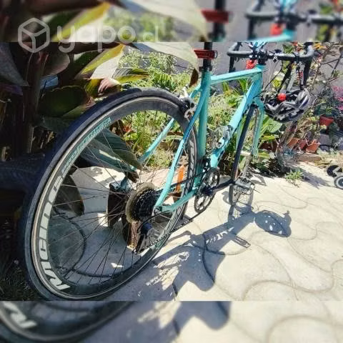 Bianchi Corsa plus