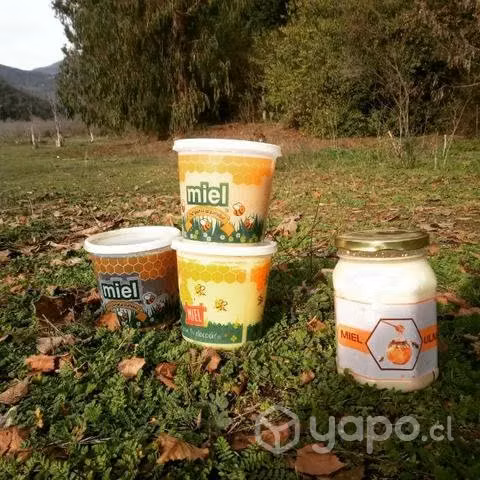 Miel pura 100% natural