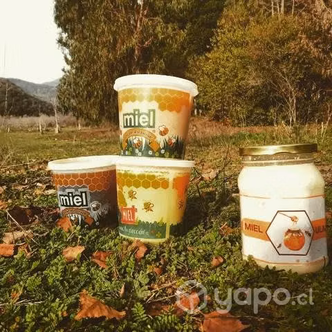 Miel pura 100% natural