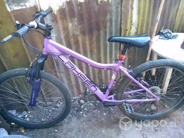 Bicicleta