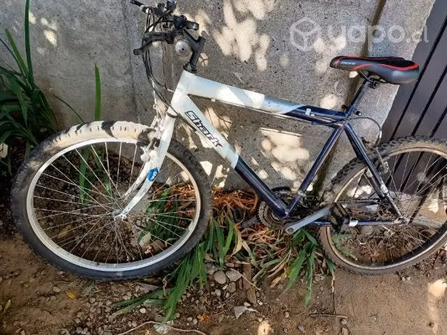Bicicleta en buen estado
