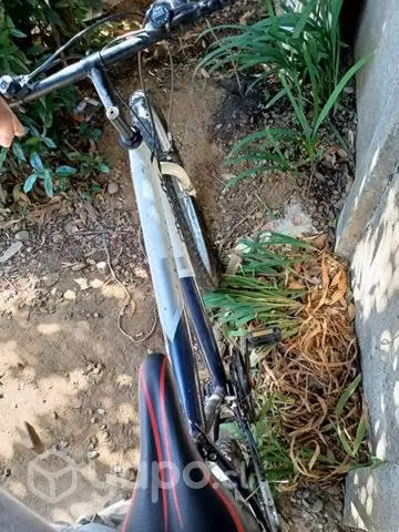 Bicicleta en buen estado