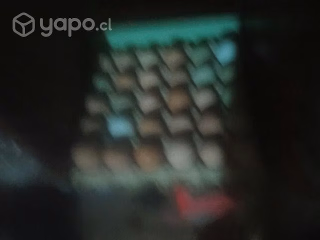 Huevos de campo - Imagen 2
