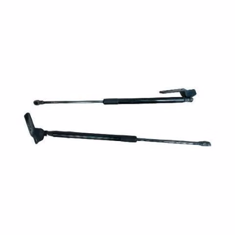 Bombines de capot bmw 116 i 2012