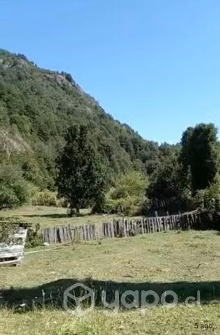 Campo cercano a termas de Río Blanco, Pucón