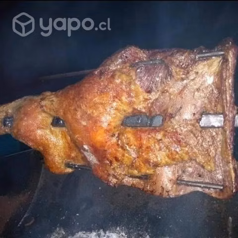 Asadores espada para asado