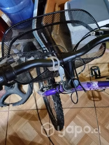 Bicicleta oxford