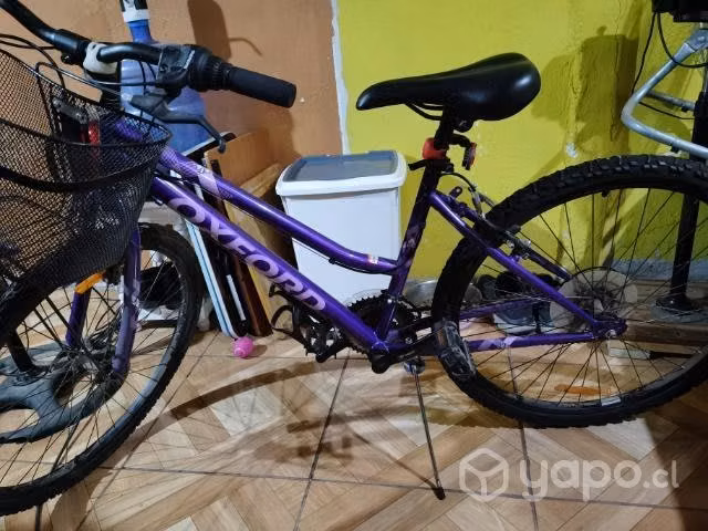 Bicicleta oxford