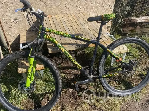 Bicicleta