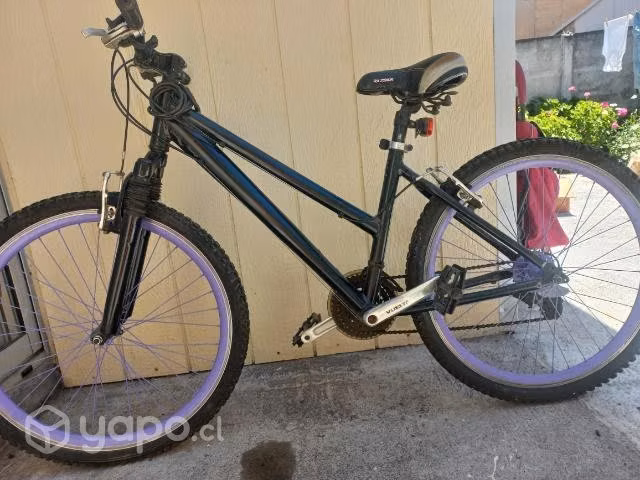 Bicicleta treck