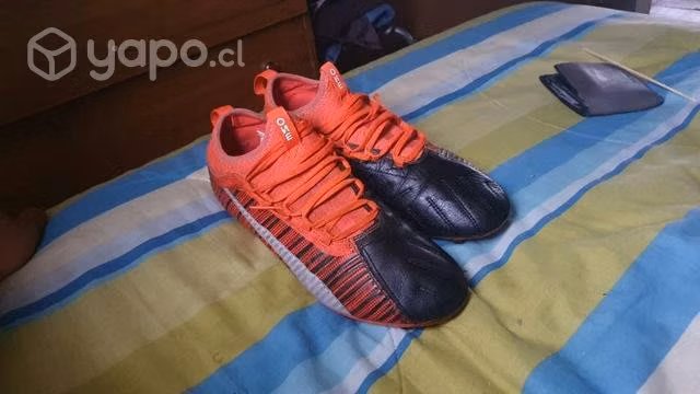 Chuteadores pumas one