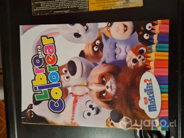 Libro pintar grande
