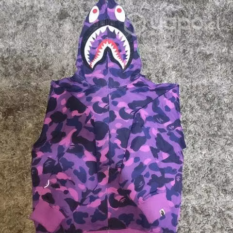 Bape shark