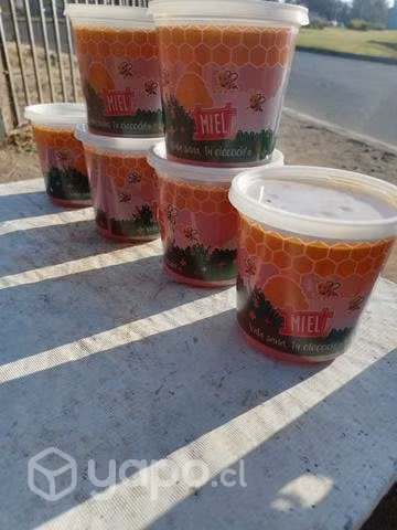 Miel de quillay