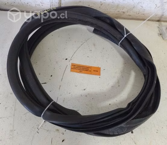 Goma Carrocería Puerta Delantera Izq Explorer